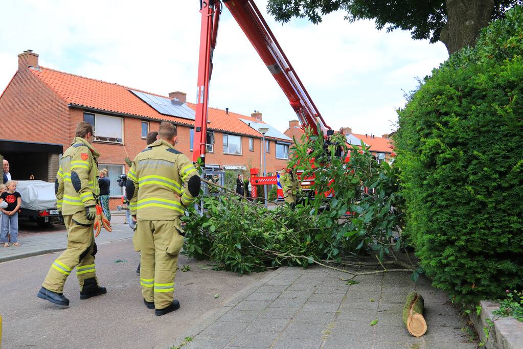 Buurtbewoners halen auto's weg voor gevaarlijk hangende tak