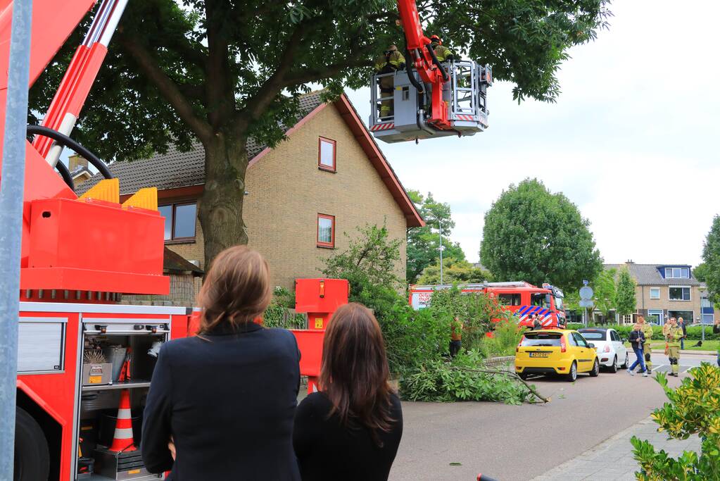 Buurtbewoners halen auto's weg voor gevaarlijk hangende tak