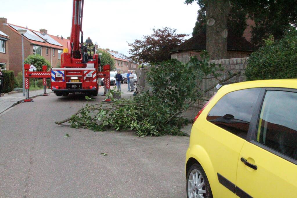 Buurtbewoners halen auto's weg voor gevaarlijk hangende tak