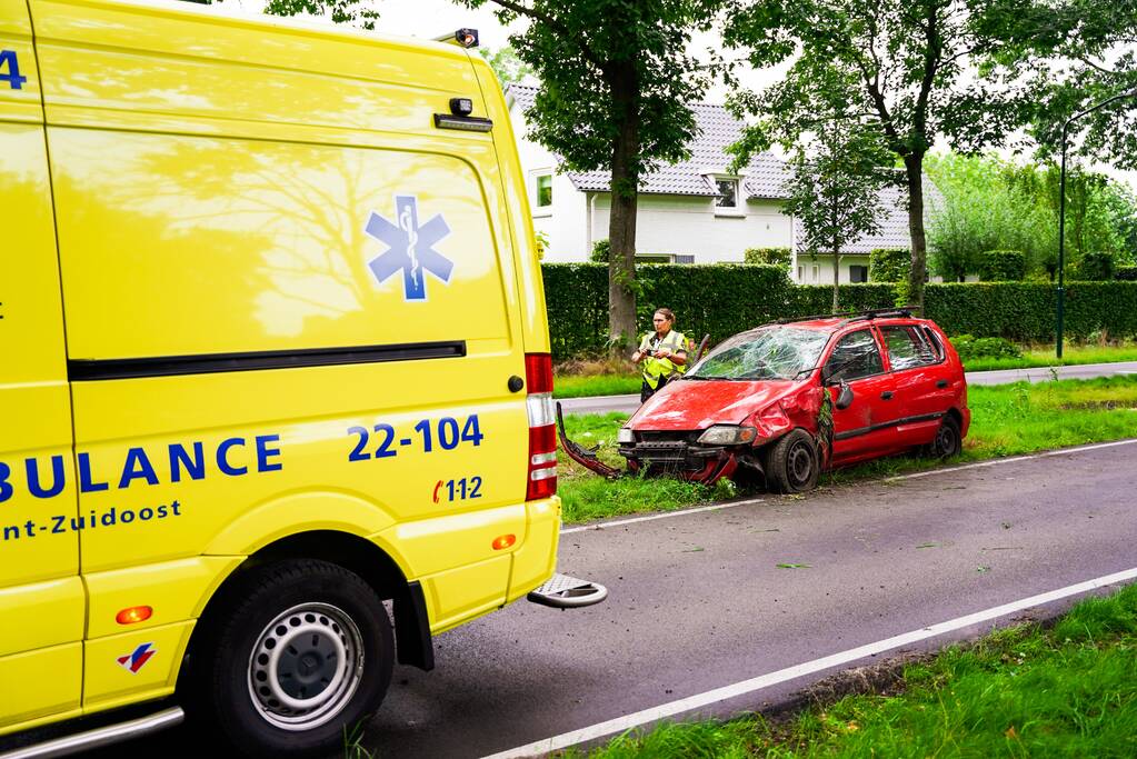 Auto slaat meerdere keren over de kop door loslopende hond