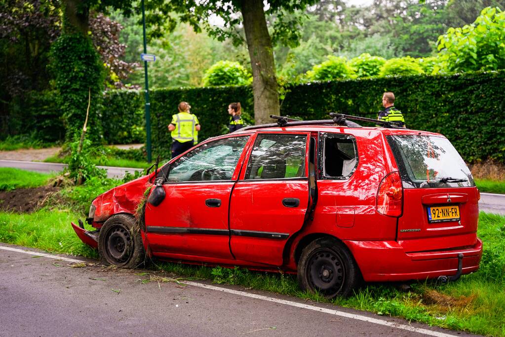 Auto slaat meerdere keren over de kop door loslopende hond