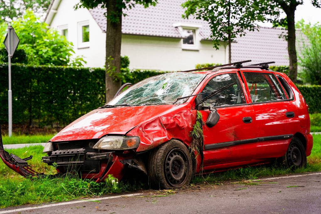 Auto slaat meerdere keren over de kop door loslopende hond