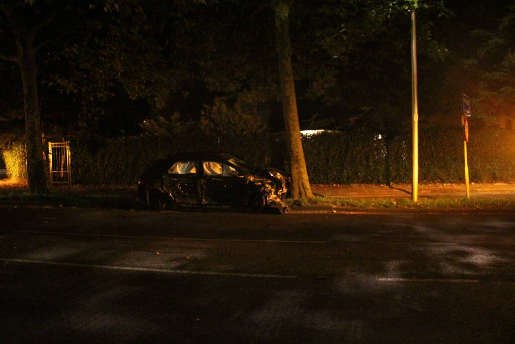 Bestuurder gewond door botsing tegen boom