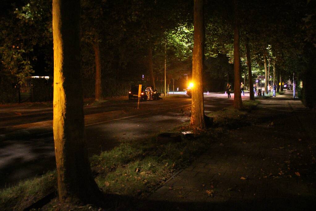 Bestuurder gewond door botsing tegen boom