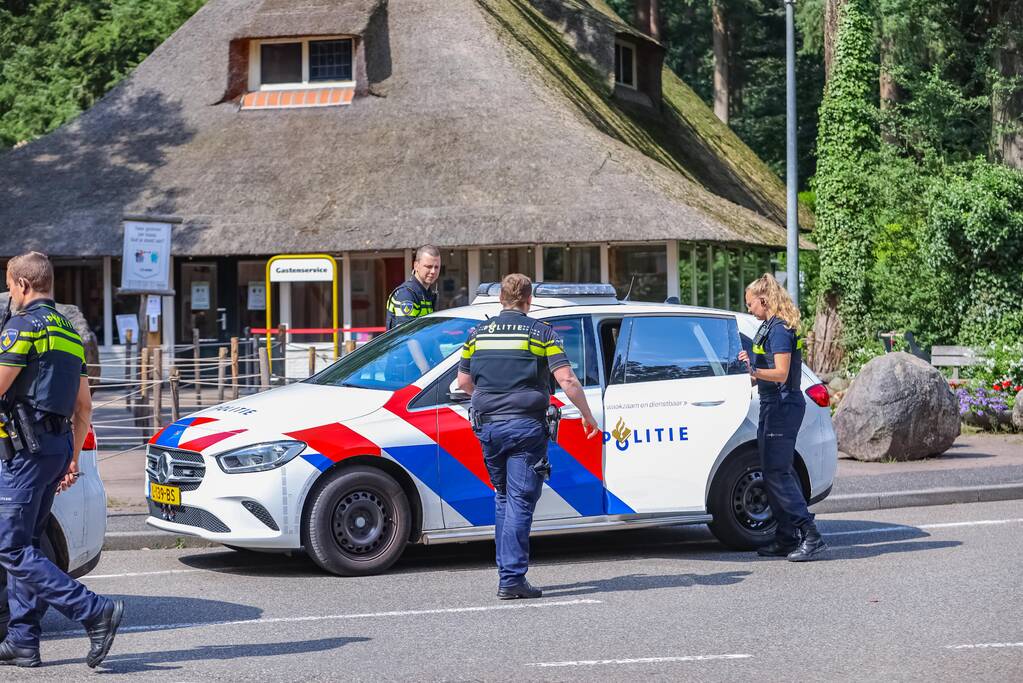 Twee wolven in Dierenpark Amersfoort ontsnapt uit hun verblijf