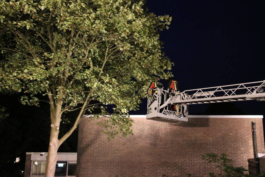 Duif met visdraad om poot gered uit boom