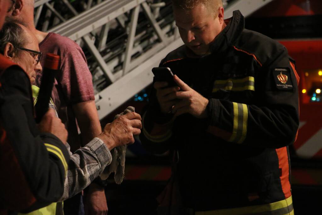 Duif met visdraad om poot gered uit boom