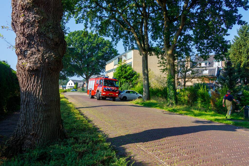 Kat twee dagen vast tussen spouwmuren