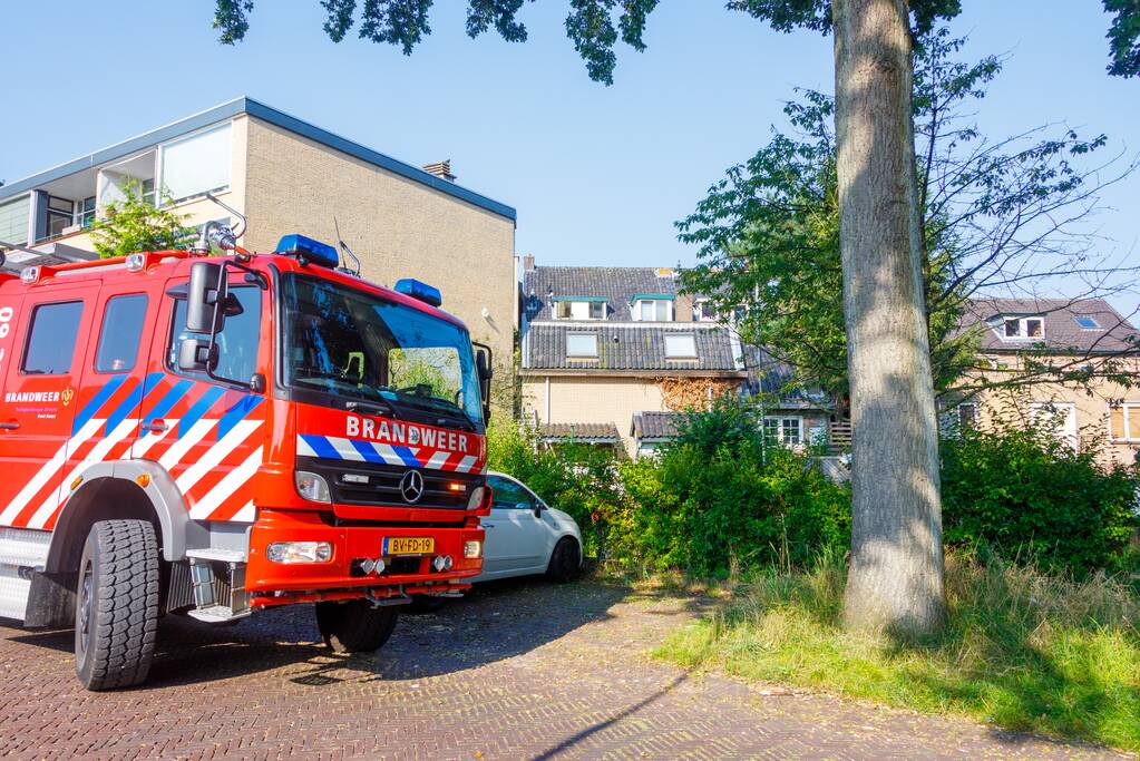 Kat twee dagen vast tussen spouwmuren