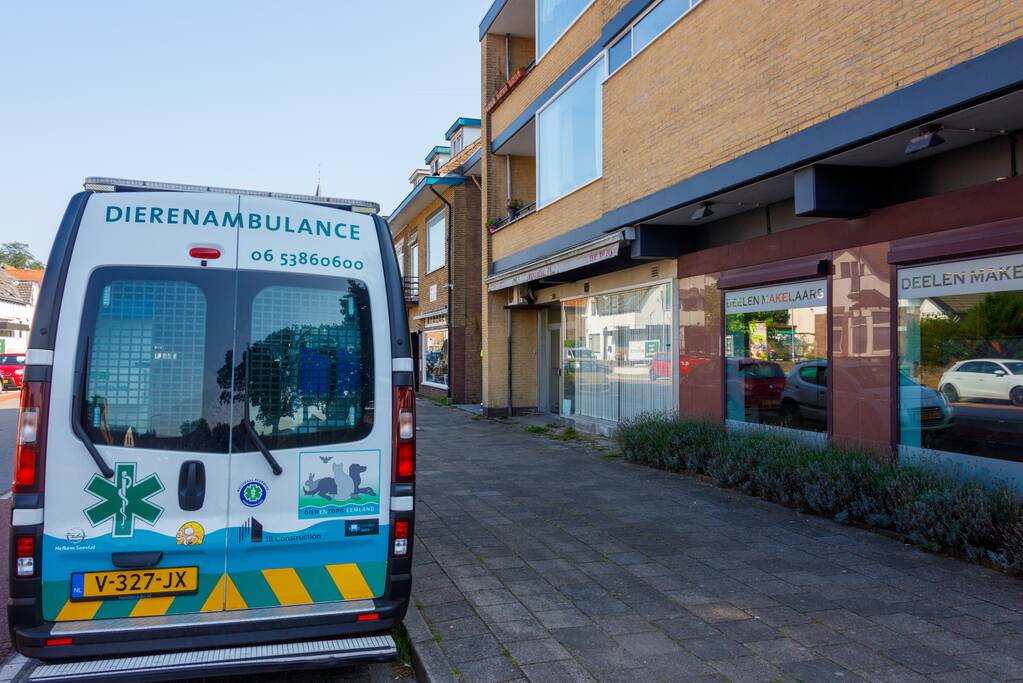 Kat twee dagen vast tussen spouwmuren