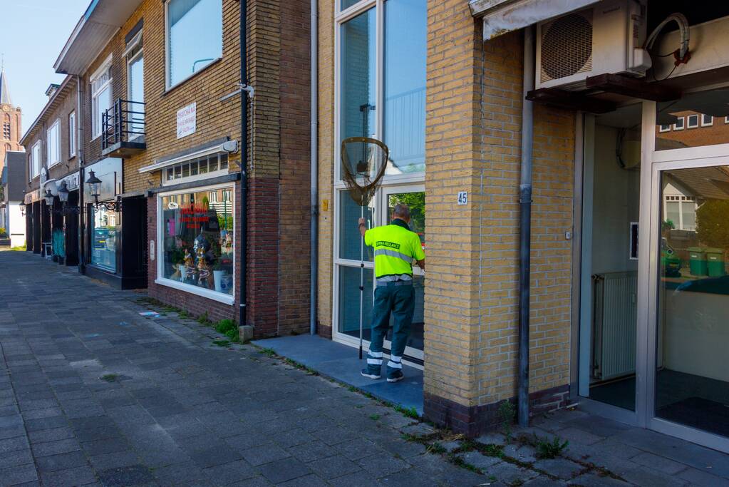 Kat twee dagen vast tussen spouwmuren