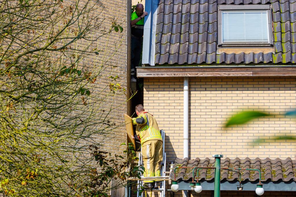 Kat twee dagen vast tussen spouwmuren