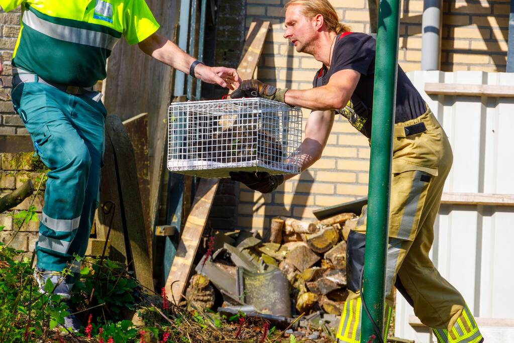 Kat twee dagen vast tussen spouwmuren