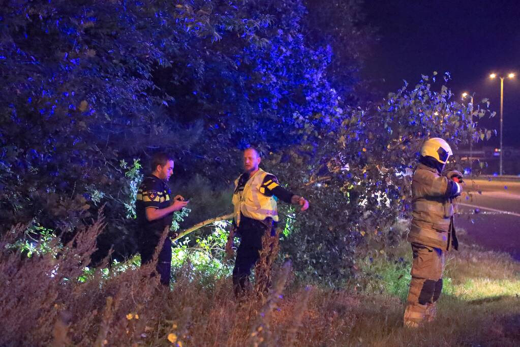 Bestuurster verliest macht over het stuur en komt tot stilstand in struiken