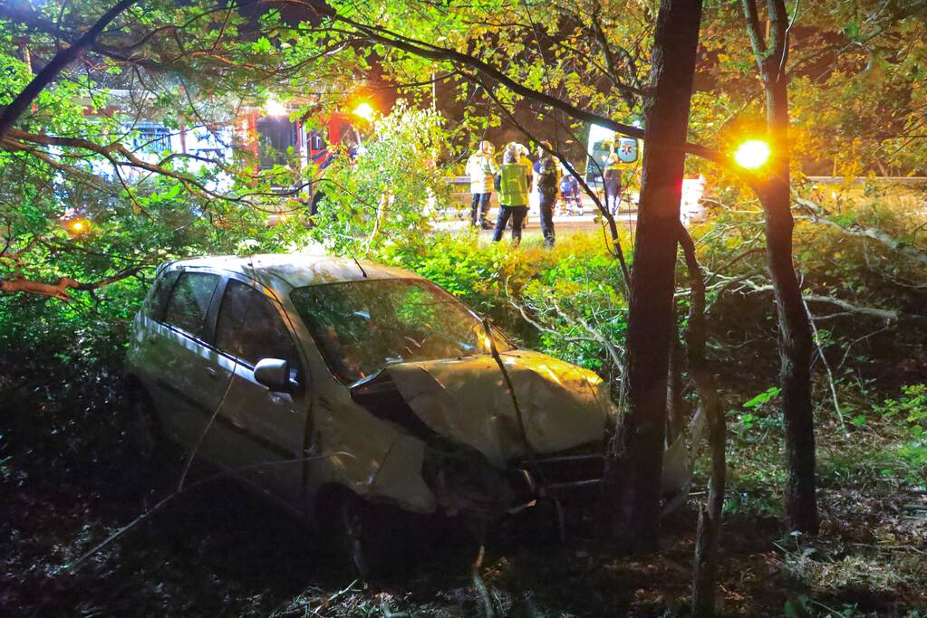 Bestuurster verliest macht over het stuur en komt tot stilstand in struiken