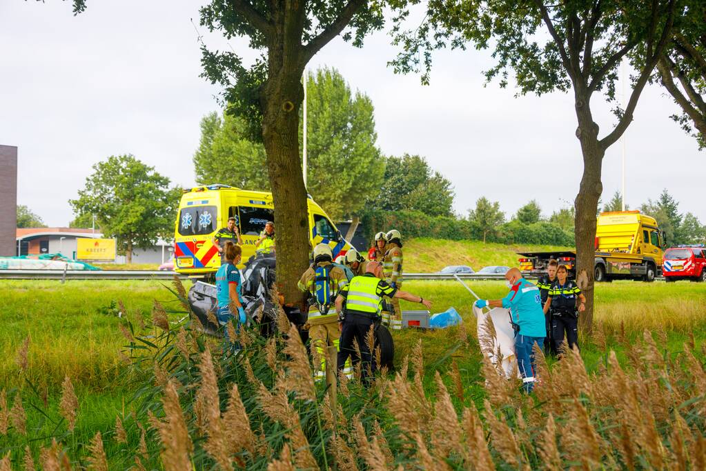 Auto knalt op boom, bestuurder overleden