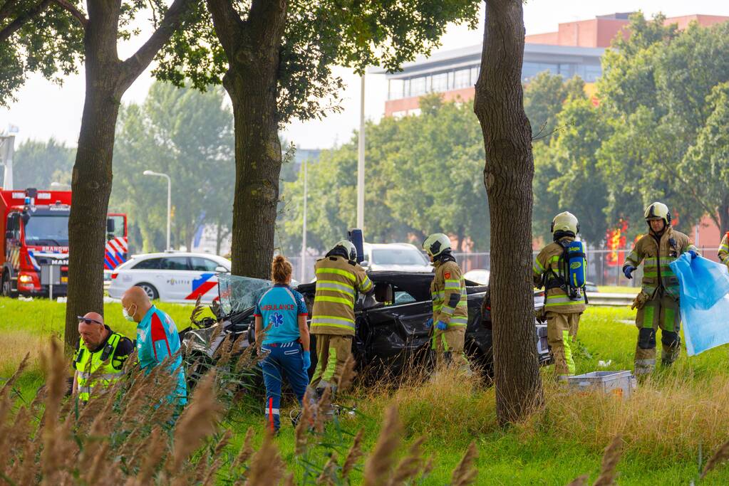 Auto knalt op boom, bestuurder overleden