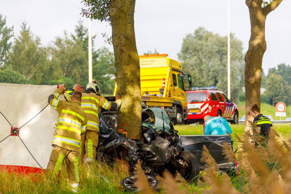 Auto knalt op boom, bestuurder overleden