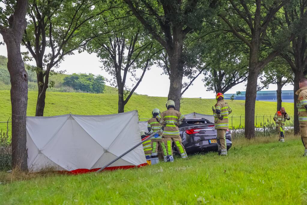 Auto knalt op boom, bestuurder overleden