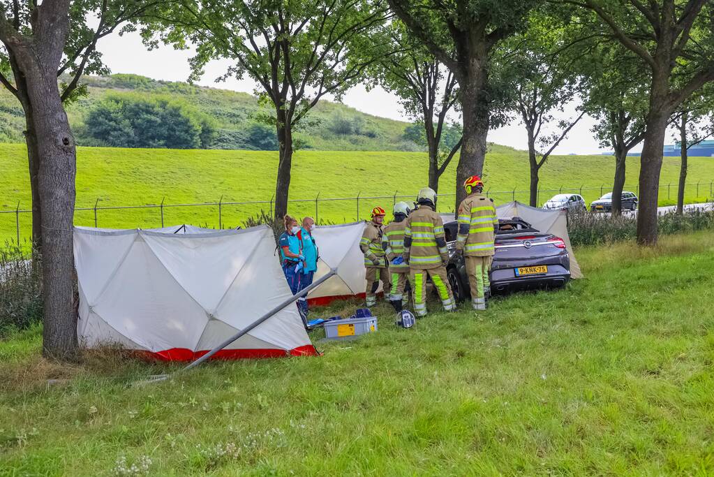 Auto knalt op boom, bestuurder overleden