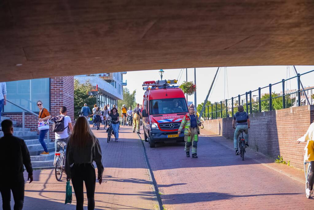 Verdwenen kunstwerk teruggevonden in Eem