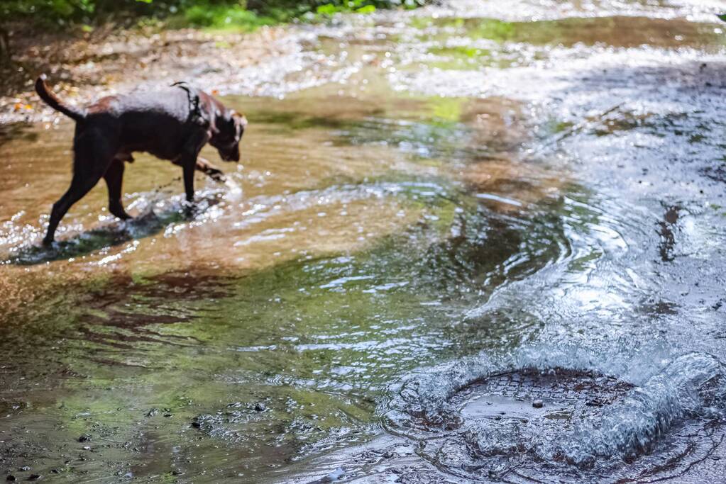 Putdeksel komt omhoog en zorgt voor wateroverlast op bospad