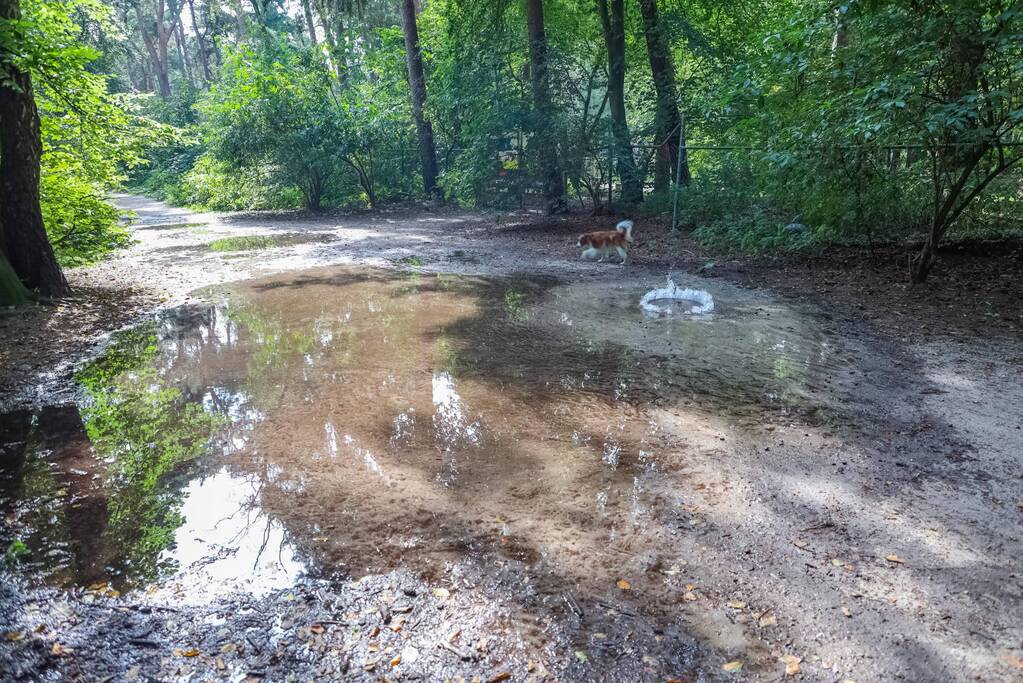 Putdeksel komt omhoog en zorgt voor wateroverlast op bospad