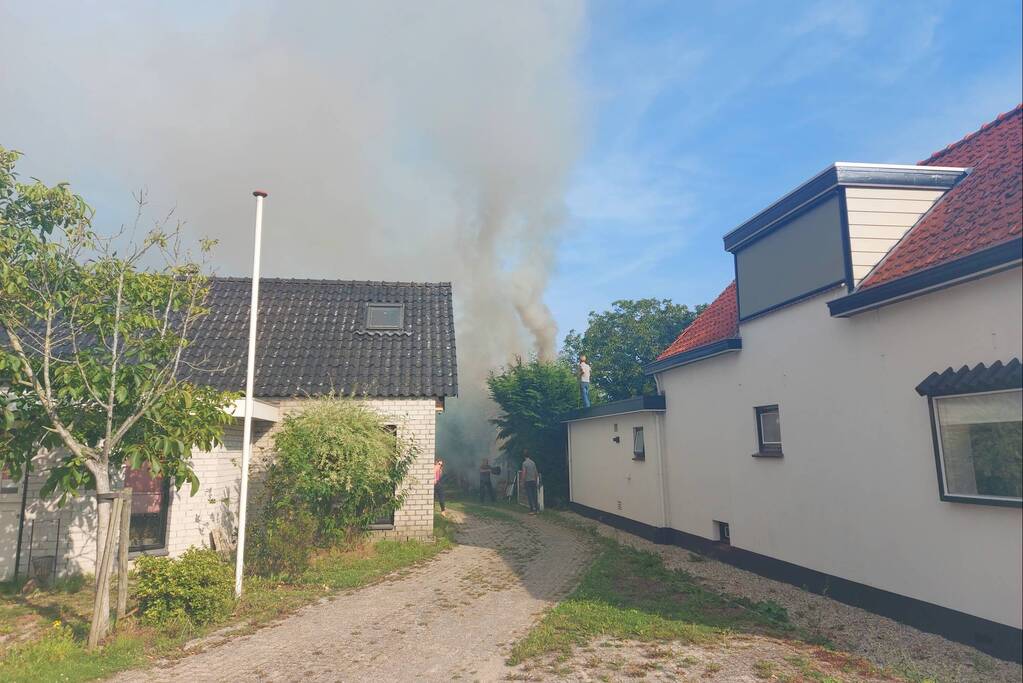Coniferenhaag vliegt in brand in achtertuin