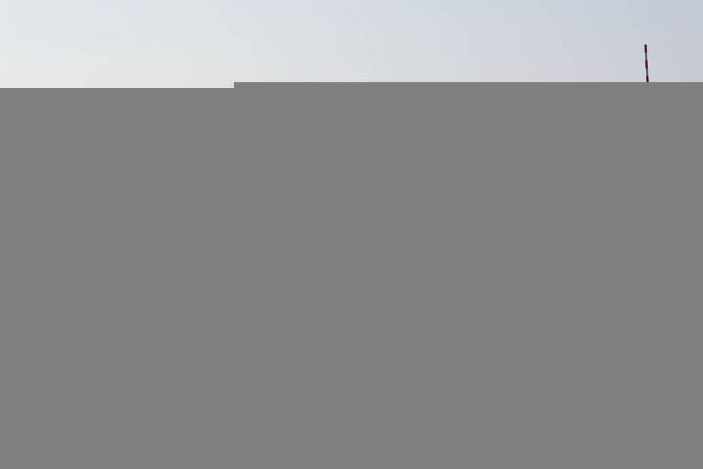 Zonaanbidders genieten van het lekkere weer