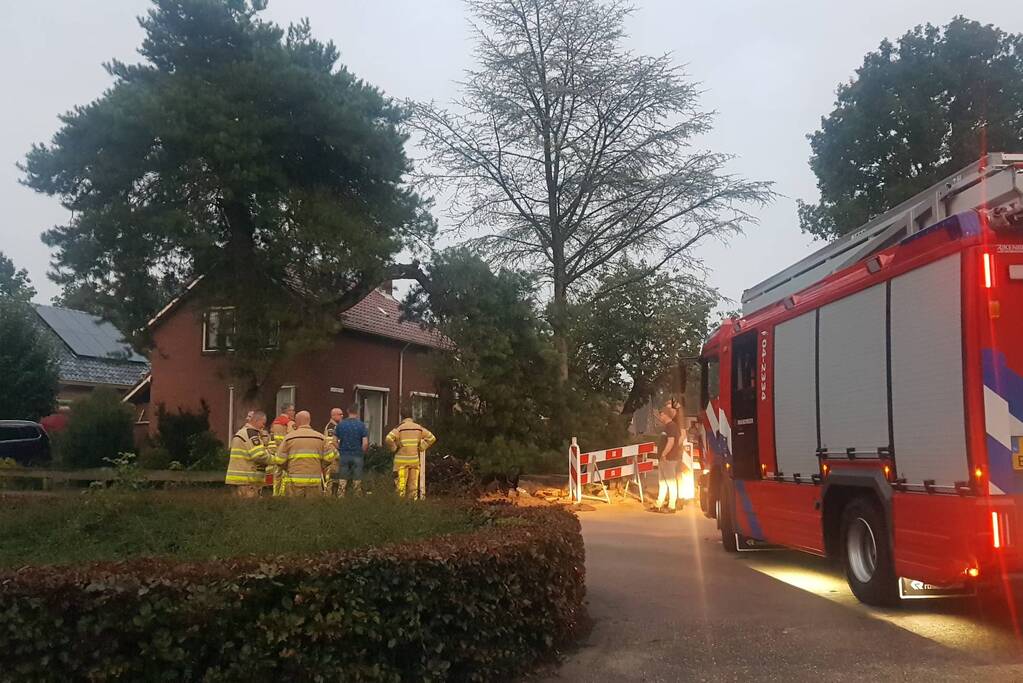 Brandweer verwijdert grote tak uit boom
