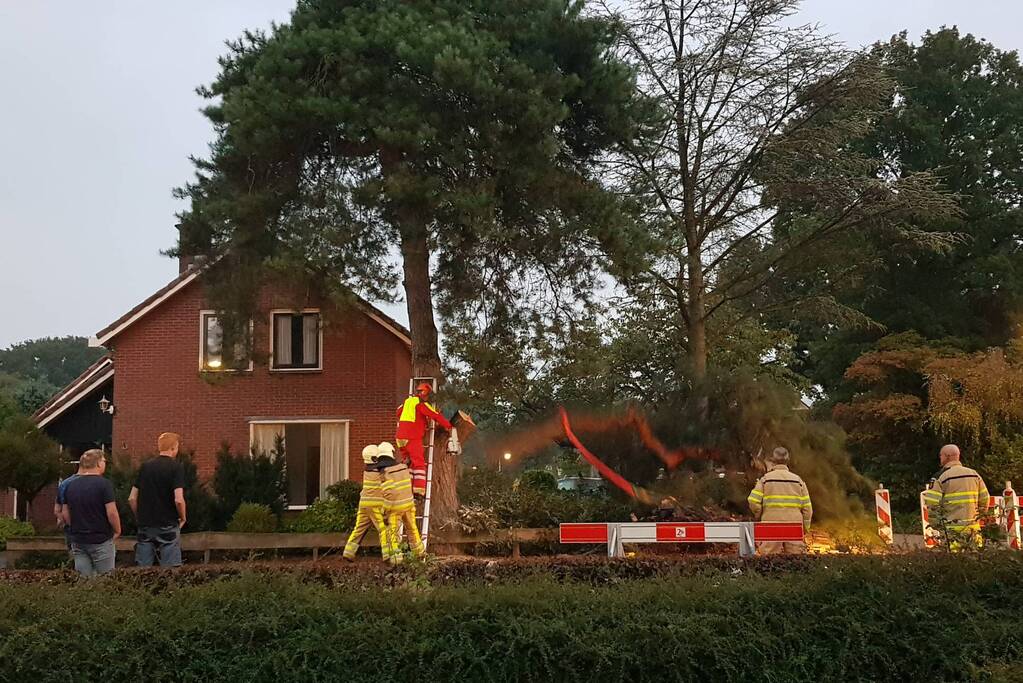 Brandweer verwijdert grote tak uit boom