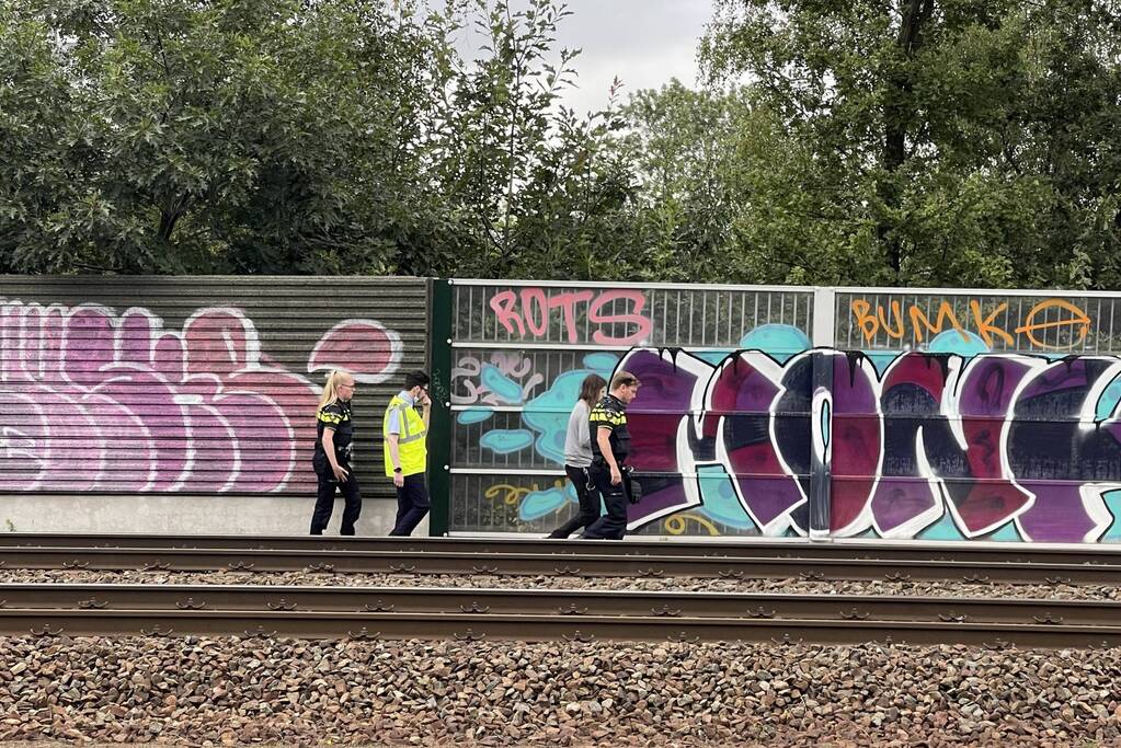 Treinverkeer stilgelegd door persoon op spoor