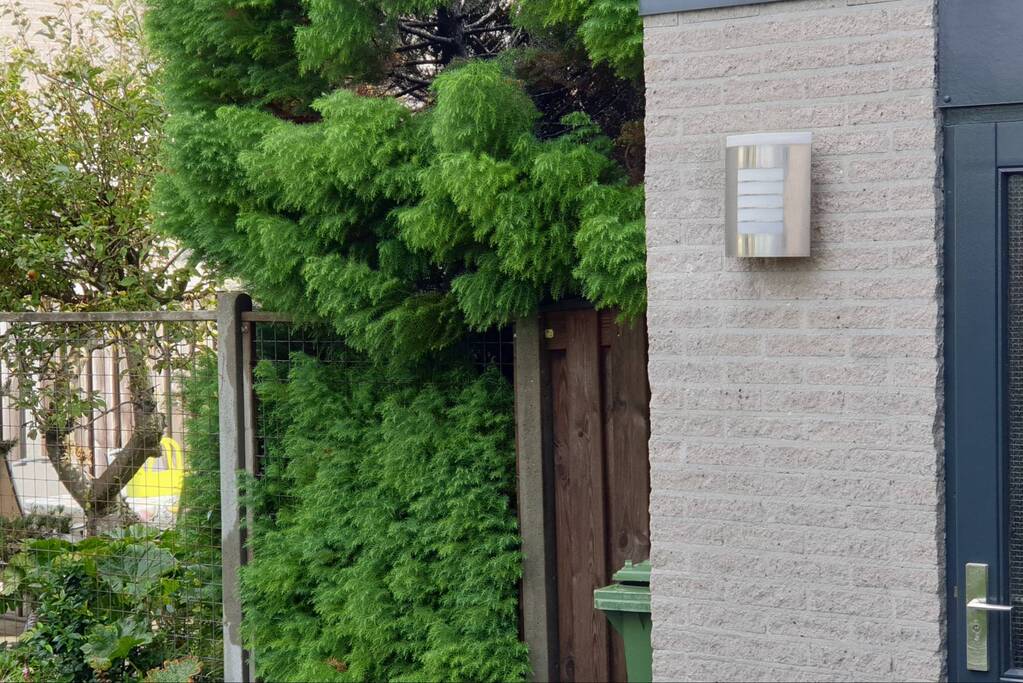 Heg vat vlam bij wegbranden van onkruid