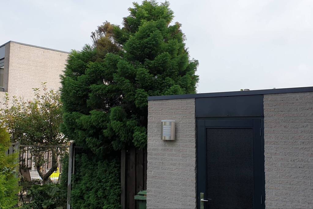 Heg vat vlam bij wegbranden van onkruid