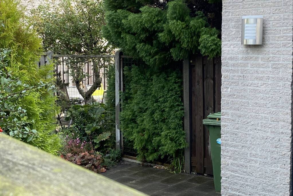 Heg vat vlam bij wegbranden van onkruid