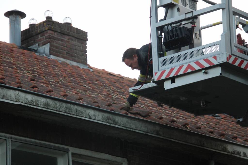 Vermiste kat Chico aangetroffen onder dakpan
