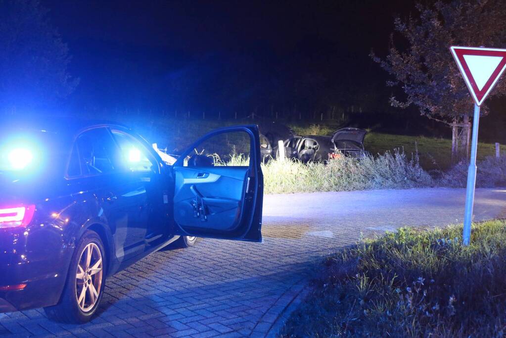 Auto belandt in weiland na botsing