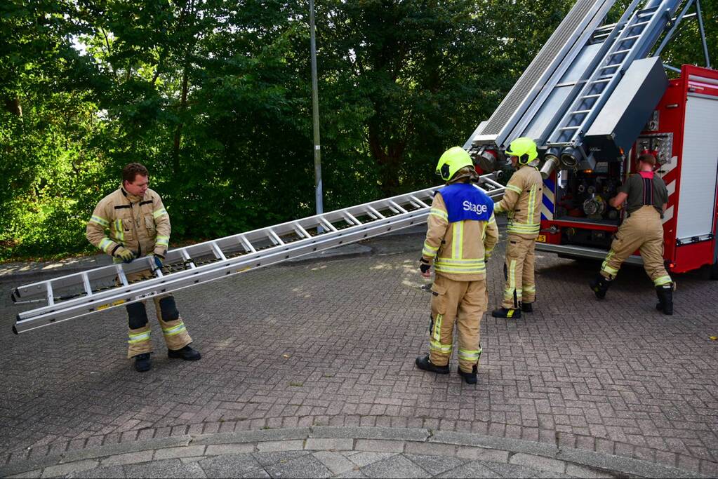 Brandweer haalt kat uit de boom