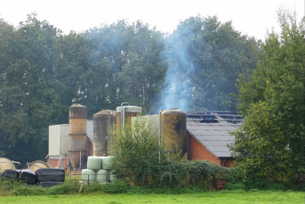 Uitslaande brand in stal met 300 varkens