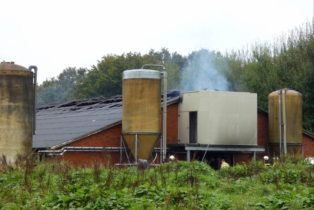Uitslaande brand in stal met 300 varkens