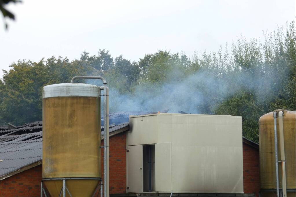Uitslaande brand in stal met 300 varkens
