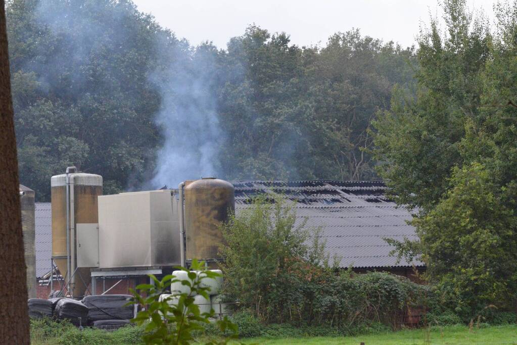 Uitslaande brand in stal met 300 varkens