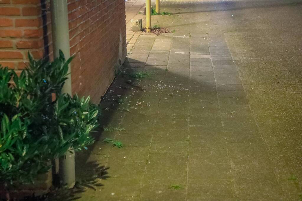 Onderzoek naar mogelijke schietpartij