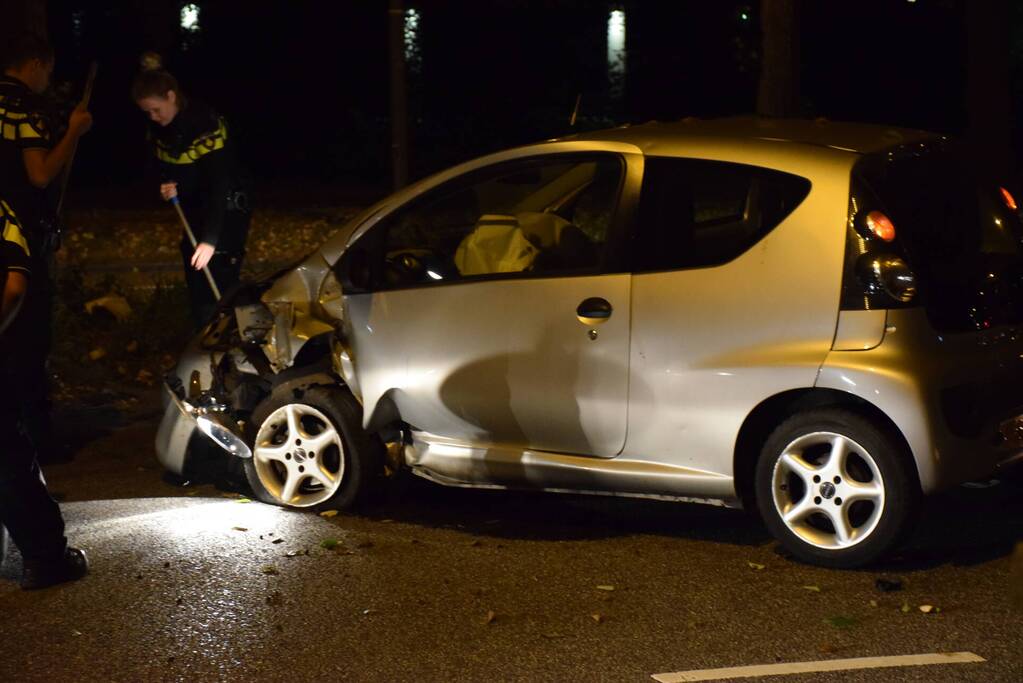 Personenauto belandt tegen boom