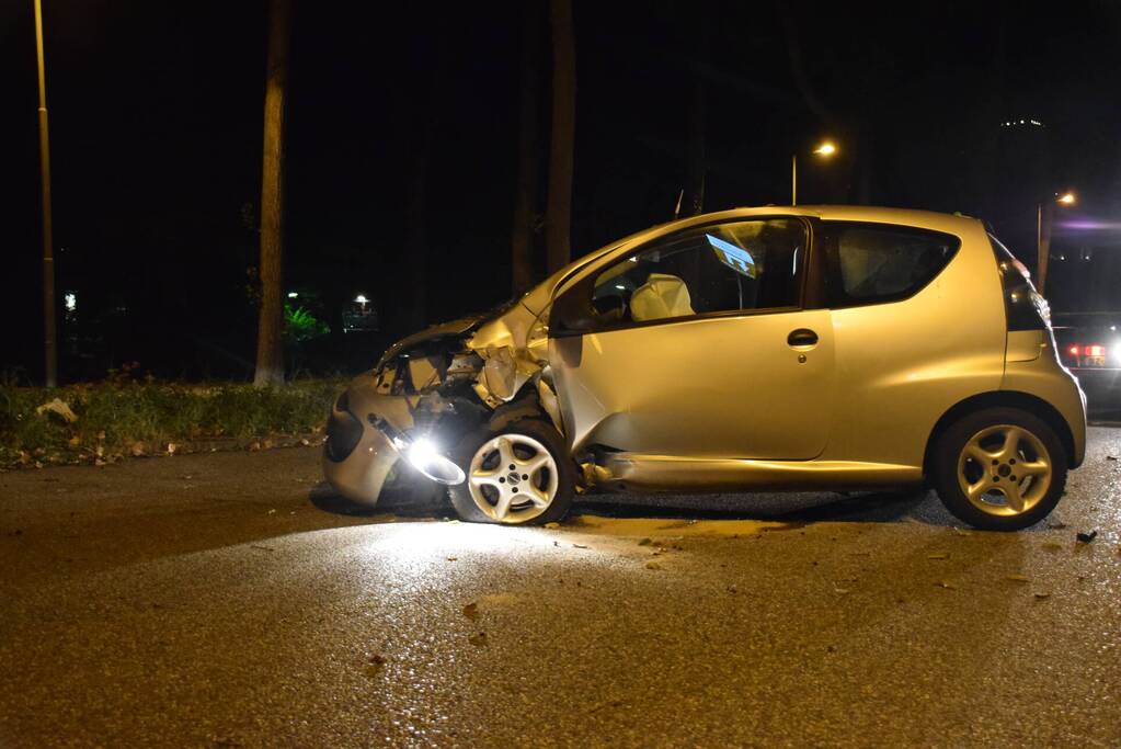 Personenauto belandt tegen boom