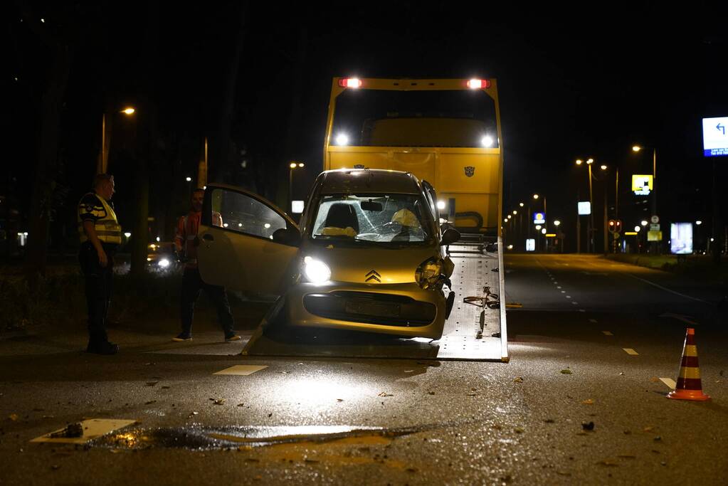 Personenauto belandt tegen boom