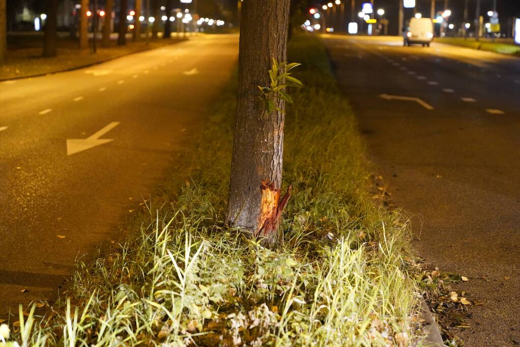 Personenauto belandt tegen boom