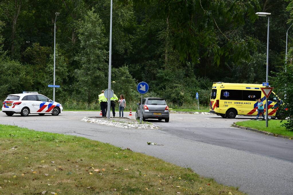 Bestelbus hondenuitlaatservice in botsing met auto