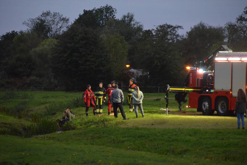Brandweer takelt paard uit sloot