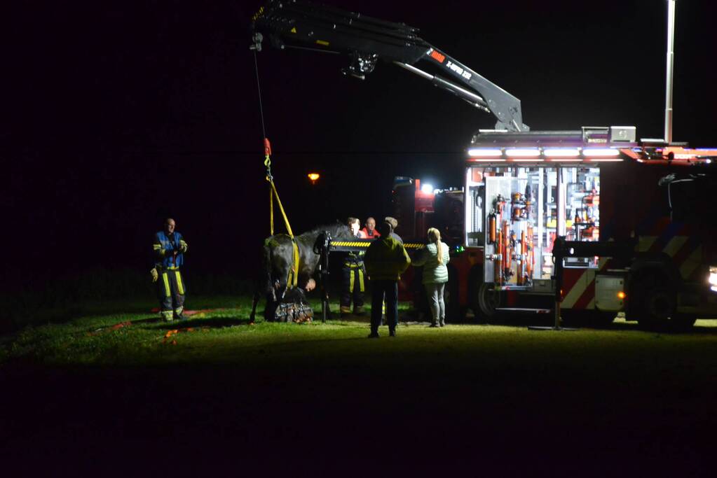 Brandweer takelt paard uit sloot